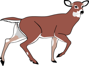 Brown Walking Deer Clip Art